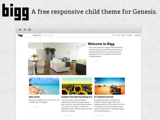 Bigg: A free Genesis child theme